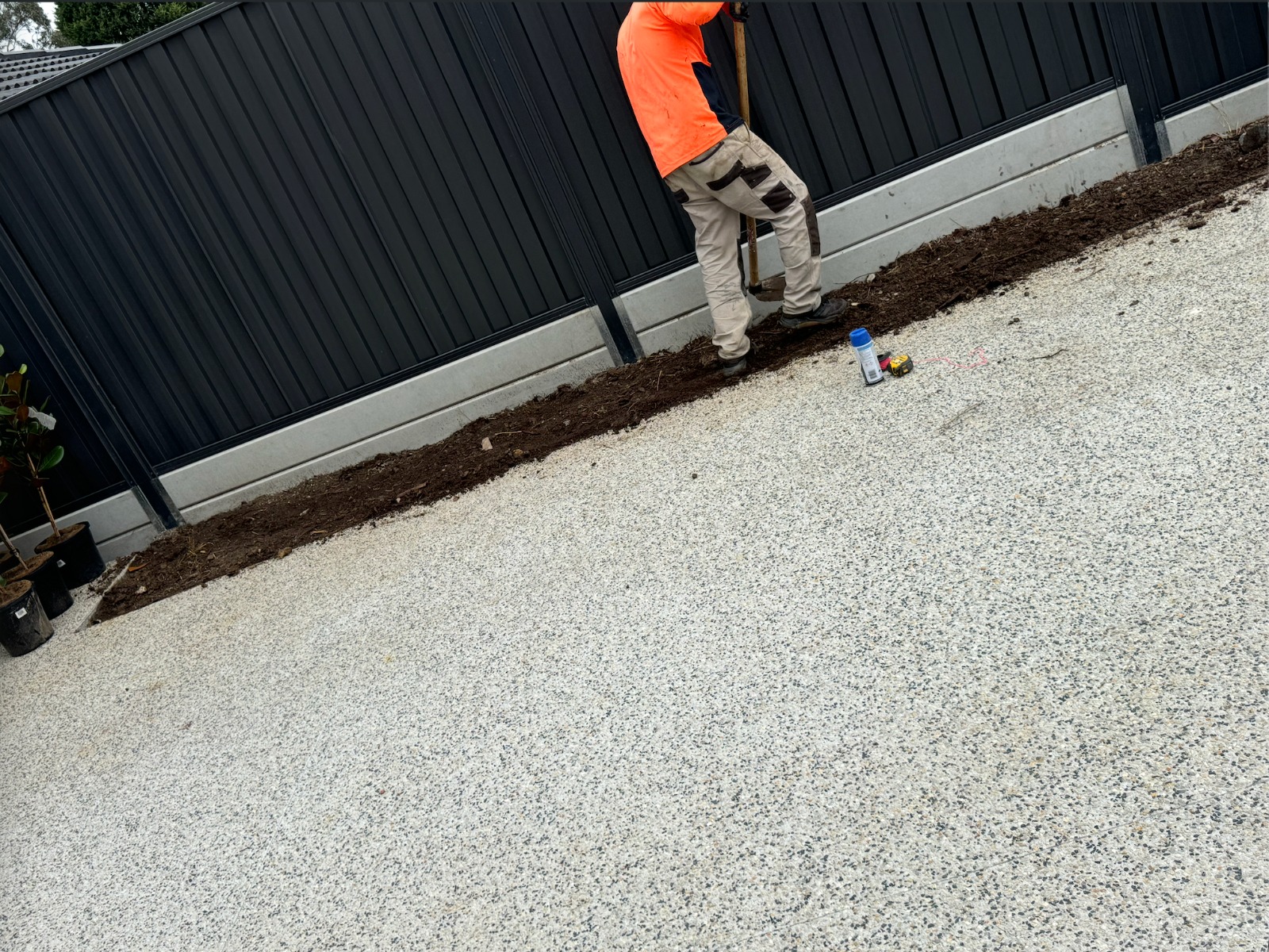 whatsapp image 20 7.53.22 pm