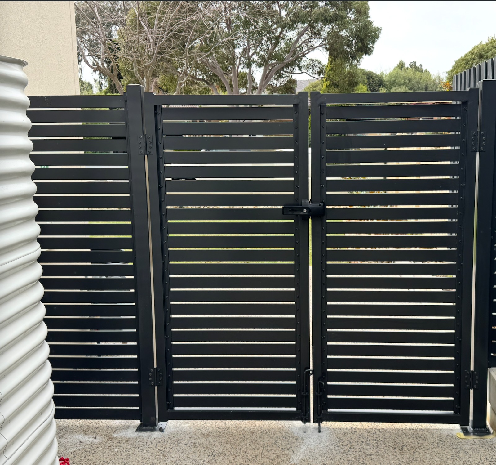 whatsapp image 20 at 7.53.22 pm